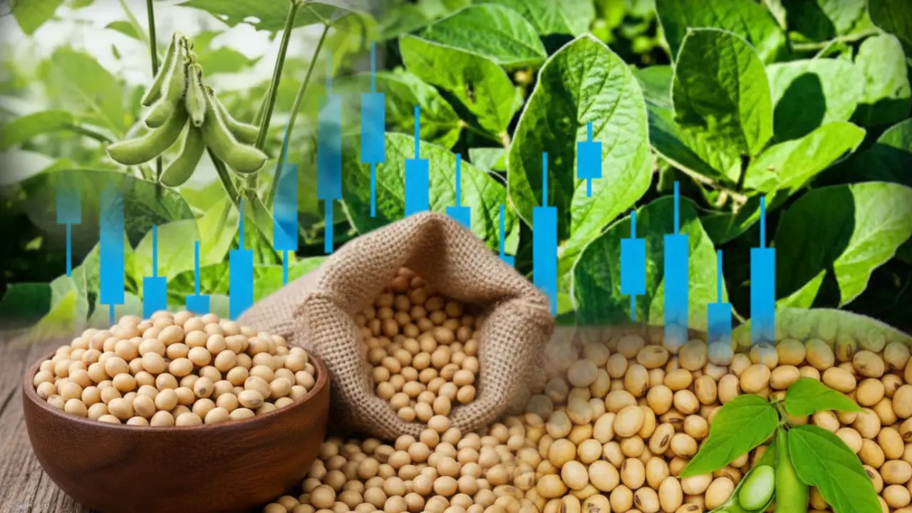 सोयाबीन