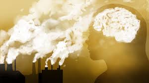 Air Pollution स्टडी से क्या पता चलता है